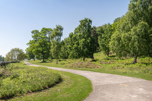 Photo 47- click for photo gallery
